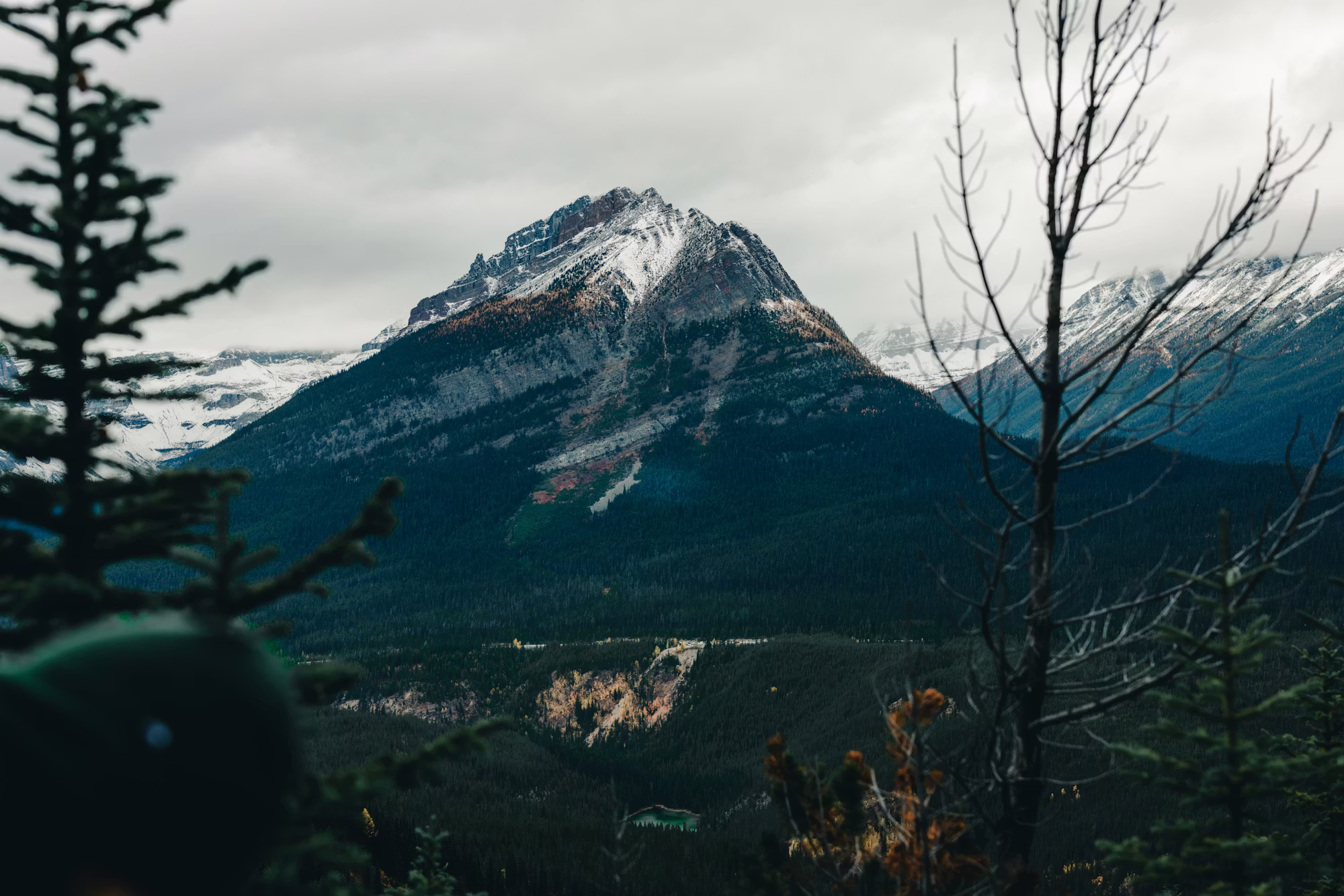 Radost z vaření: Zkoumání kulinářské kreativity